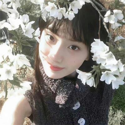 社交女王的升天之旅